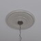 Ekena Millwork Berkshire PVC Medallion (Canopies up to 8 3/8"), 19"OD x 3 1/2"ID x 1"P, Metallic Mist CMP19BEEPE - alternate 10